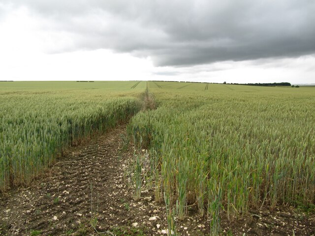 Boynton Image 3