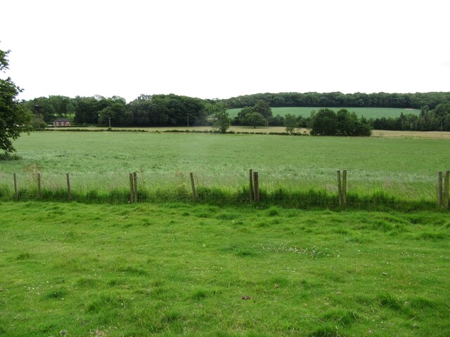 Image Boynton 4